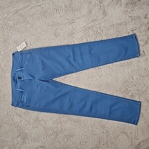 Hudson Blue Pants